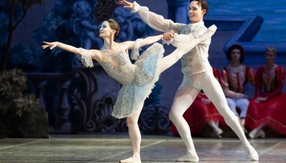 Балет «Спящая красавица», Электросталь