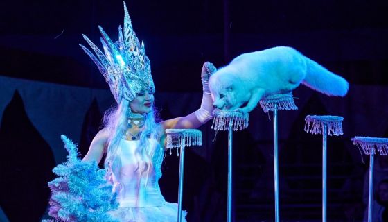 Цирк-шапито «Circusland». Шоу «Хищник и принцесса цирка», Дзержинск