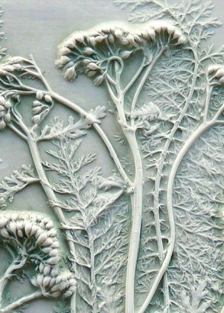 Ботанический барельеф