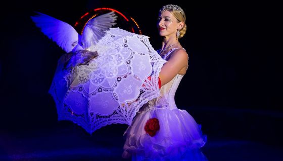 Цирк-шапито «Феникс», Коломна