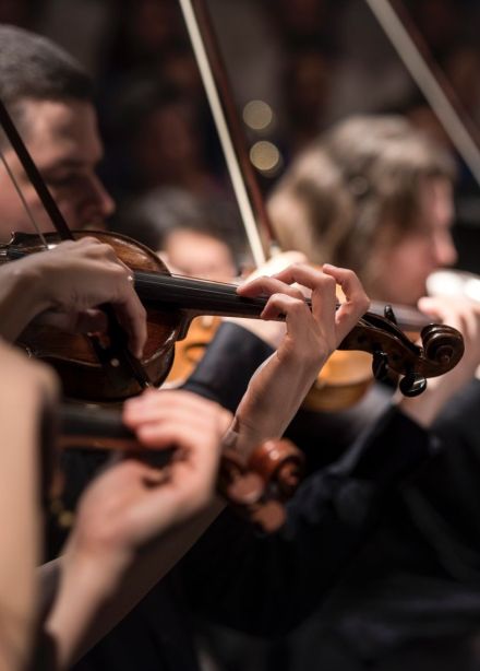 Astralis Orchestra Project. Музыка в темноте, Сергиев Посад