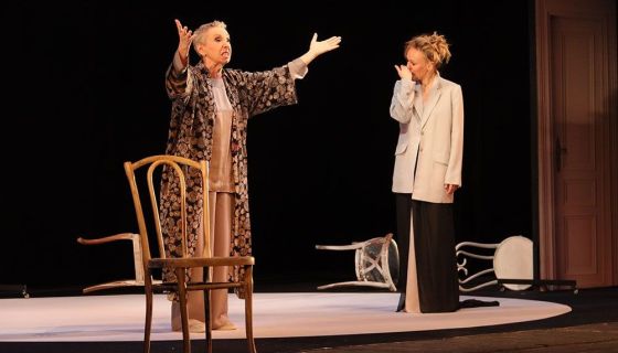 Спектакль «Иллюзия счастья», Домодедово