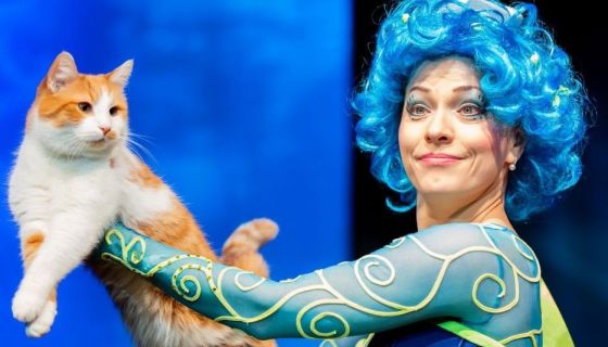 Театр кошек Куклачёва. Коты спасают мир, Воскресенск