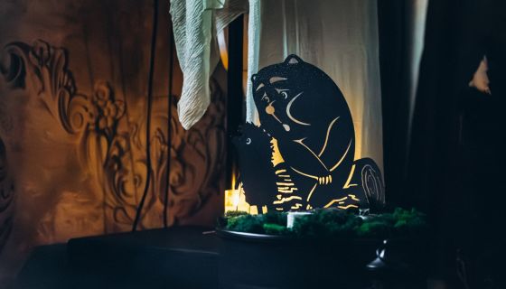 Арт-ужин «Ёжик в тумане», Дмитров