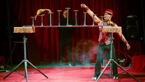 Цирк-шапито «Феникс», Егорьевск