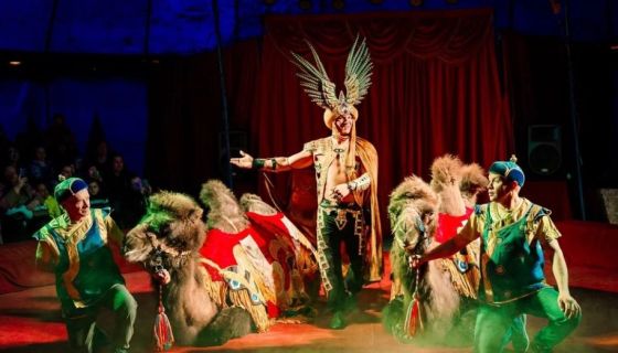 Цирк-шапито «Феникс», Егорьевск