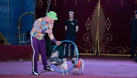 Цирк-шапито «Феникс», Егорьевск