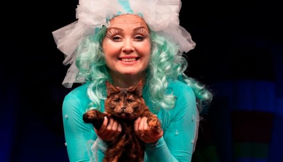 Театр кошек Куклачёва. Коты спасают мир, Щелково