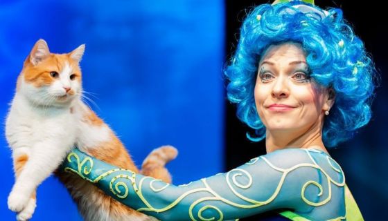 Театр кошек Куклачёва. Коты спасают мир, Щелково