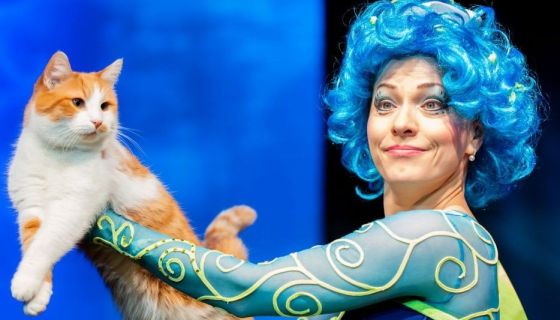 Театр кошек Куклачёва. Коты спасают мир, Балашиха