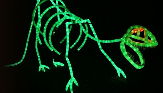 Представление световых кукол. Театр Николая Зыкова (Москва), Фрязино