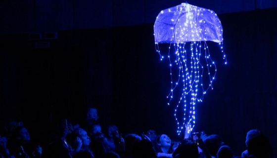 Представление световых кукол. Театр Николая Зыкова (Москва), Фрязино