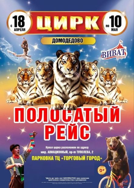 Цирк-шапито «Виват», Домодедово