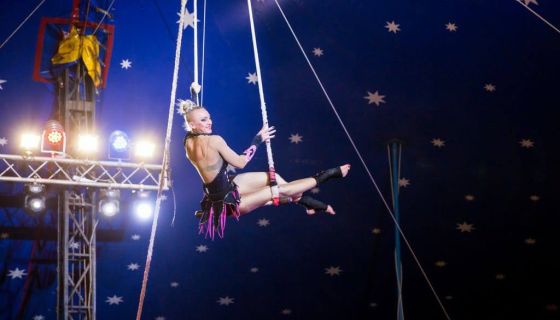 Цирк-шапито «Виват», Домодедово