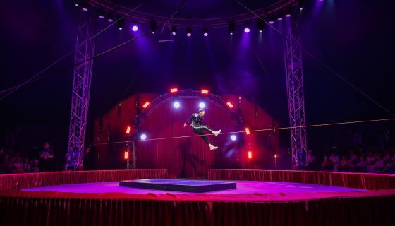 Цирк-шапито «Виват», Домодедово