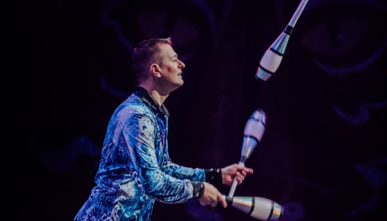 Цирк-шапито «Виват», Домодедово