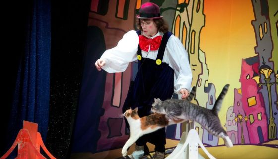 Театр кошек Куклачёва. Волшебные кошки, Красногорск