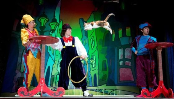 Театр кошек Куклачёва. Волшебные кошки, Красногорск