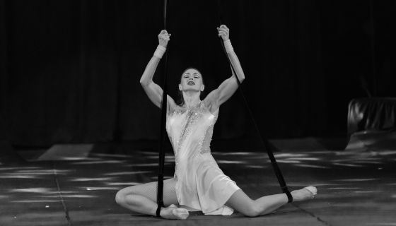 Цирк-шапито «Виват», Коломна