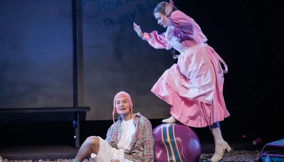 Спектакль «Оскар и Розовая дама», Коломна