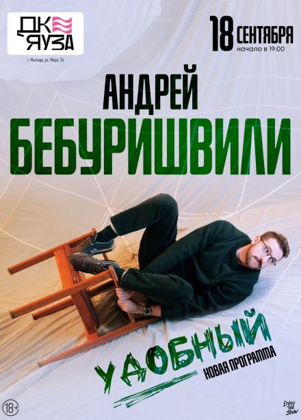 Андрей Бебуришвили, Мытищи