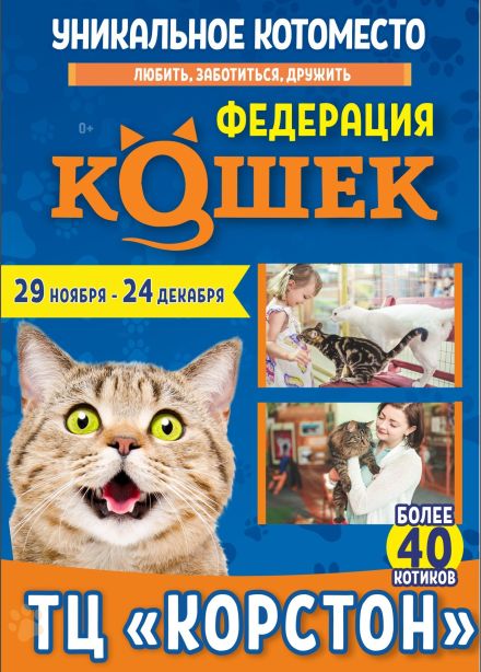 Выставка «Федерация кошек», г. Серпухов