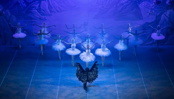 Балет «Лебединое озеро», Новосиньково